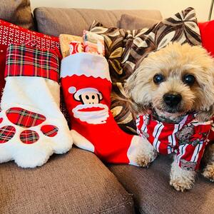 Fundraising Page: Gregory A Mckinney Gregory A Mckinney